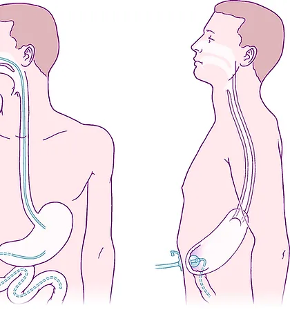 Understanding Gastroenterology: Exploring The Digestive System's Complexity
